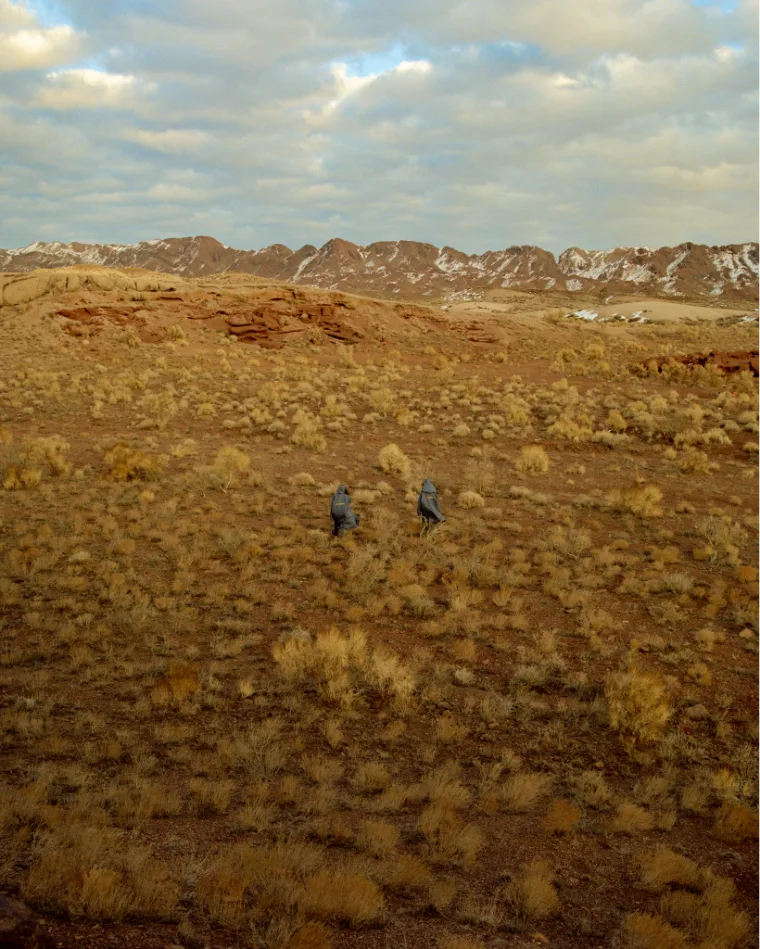 Steppe landscape with two walking figures